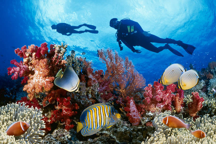 5 Things to do in Paphos